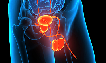 Röntgenologische Untersuchungen